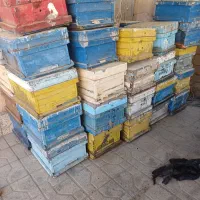 کندو زنبور عسل با قاب