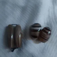 مهره سلیمانی