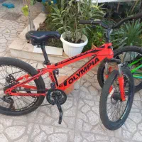 دوچرخه حرفه ای