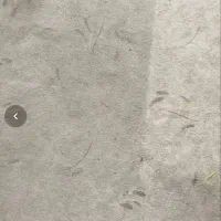 موکت