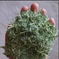 یونجه و کاه خرمانکوب