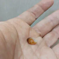 عقیق باباقوری خاص