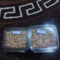 بهار خشک نارنج خوش عطر