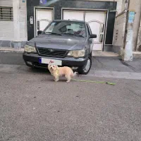 111 مدل93|خودرو سواری و وانت|فردیس, ثابتی|دیوار