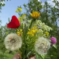 راهنمایی برای ش غ ل