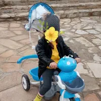 سه چرخه بی بی لندموزیکال