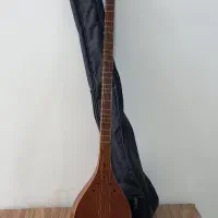 سه تار|سازهای سنتی|دهلران, |دیوار