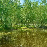 جایی میان رویا/واقعیت|فروش خانه و ویلا|اسلامشهر, شهرک احمدیه|دیوار