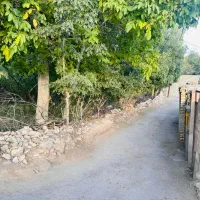 زمین باغی 3 نبش در شهمیرزاد واقع در خیابان ساری|فروش زمین و ملک کلنگی|شهمیرزاد, |دیوار