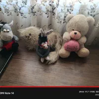 عروسک خرس گربه الاغ|اسباب‌بازی بچه|محمدشهر, محمدشهر|دیوار