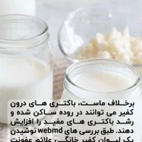 قارچ کفیر|خوردنی و آشامیدنی|آق قلا, |دیوار
