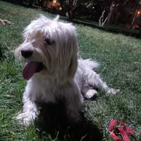 گمشده‌بیماری قلبی داره