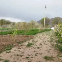 باغ وخانه باغ با انواع درخت میوه نرسیده به سرند|فروش خانه و ویلا|خواجه, |دیوار