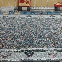 فرش عروس|فرش|بهبهان, |دیوار