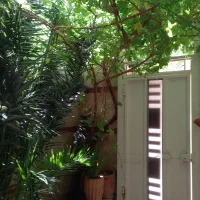 همکف-دوخواب-خوش-جای-اشکاوند