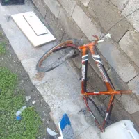 دوچرخه|دوچرخه، اسکیت، اسکوتر|میناب, |دیوار