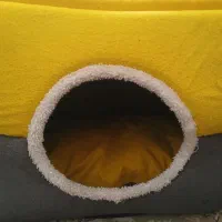 جای خواب گربه