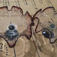 میوه خوری|ظروف سرو و پذیرایی|زابل, |دیوار