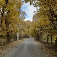 ۳۰۰مترویلایی دورازجنگ وآلودگی استخردار