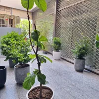 100متر اداری منیریه|اجارهٔ دفتر کار، اتاق اداری، مطب|تهران, امیریه|دیوار