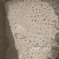 تخریب وکنده کاری با پیکور|خدمات پیشه و مهارت|زاهدان, |دیوار