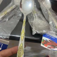 قاشق غذا خوری خارجی