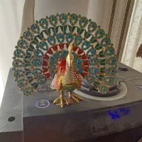 طاووس|مجسمه، تندیس، ماکت|تبریز, |دیوار