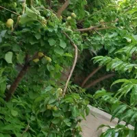 راهنمایی کنید