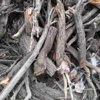 هیزم چوب شومینه و زغال