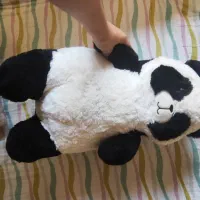 فروش انواع عروسک.|اسباب‌بازی بچه|بابل, |دیوار