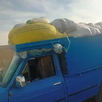 کود کبوتر خشک همیشه موجود|خدمات باغبانی و درختکاری|صوفیان, |دیوار