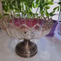 ظروف پذیرایی نونواصلااستفاده نشدند