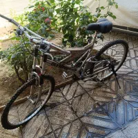 دوچرخه المپیا 24