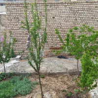 خانه ویلایی