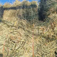 پرس یونجه چین چهار پرگل.وبیست عدد پرس شبدر چین دو|لوازم جانبی حیوانات|بروجرد, |دیوار