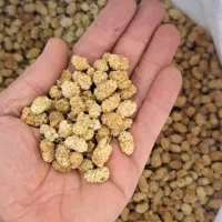 فروش توت خشک