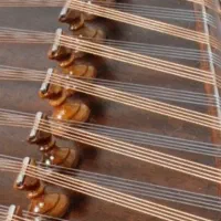 کوک ، تنظیم و رگلاژ حرفه ای سنتور|سازهای سنتی|تهران, تهرانپارس شرقی|دیوار