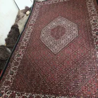 یک عدد فرش 2 در 3