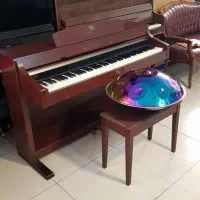 ساز هندپن 9 نت گام پیانو|درام و پرکاشن|کرج, کرج نو|دیوار