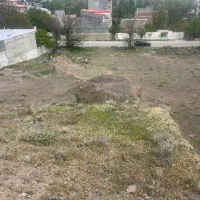 زمین-قولنامه-ای