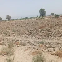 زمین کشاورزی