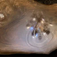 میز جلومبلی لوکس چوب گردوی مرغوب|مبلمان خانگی و میز عسلی|کرج, گوهردشت|دیوار