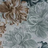 پارچه چادری مجلسی نقره کوب