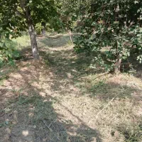 علف زنی و باغبانی