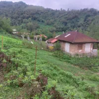 زمین387متری-مسکونی-ویودار-قیمت-توافقی-می-باشد