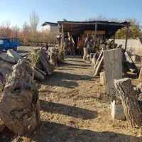 خرید و فروش انواع چوب|خدمات باغبانی و درختکاری|دماوند, دماوند|دیوار