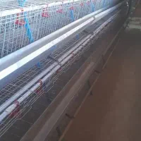 فروش فوری قفس مرغ تخمگذار منبری