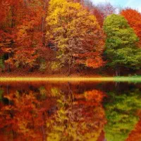 تور یک روزه برنجستانک