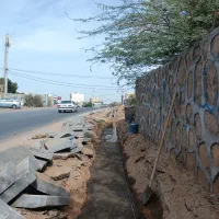 بنا تمام کار|خدمات پیشه و مهارت|چابهار, |دیوار