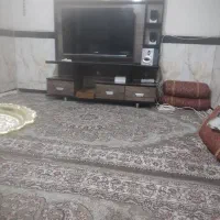 زیر تلوزیون